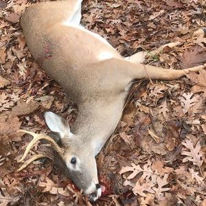 Meet your Posher, Ashton